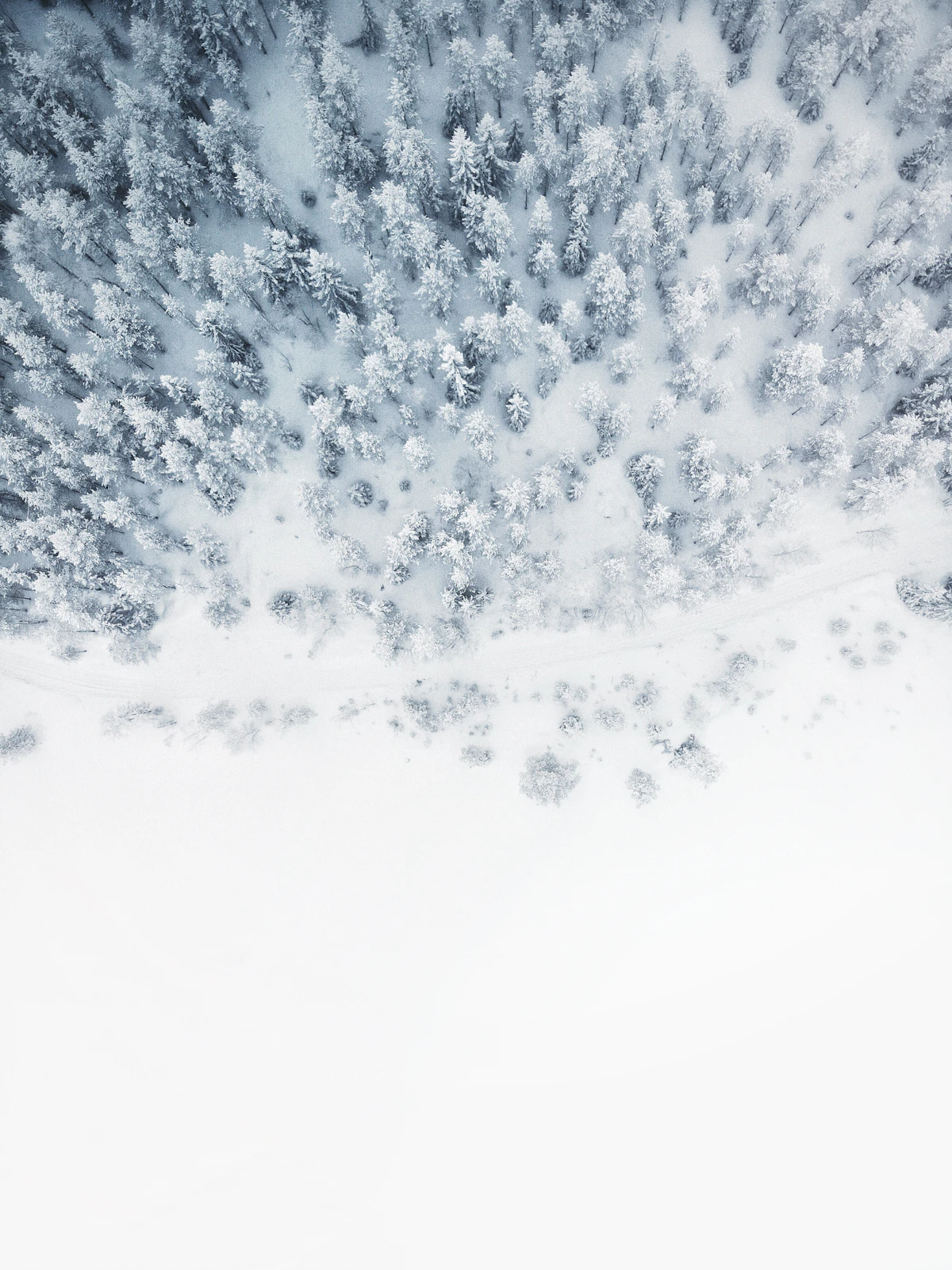 Wyjazd snowboardowy i narciarski - Season Opening Kaprun 2026 | Obozy sportowe dla dzieci i dorosłych | EH School | Mysłowice